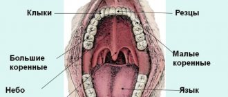 sore throat after drinking alcohol