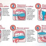 how to brush your teeth