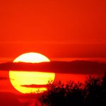 red sunset over the forest