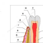 periodontal treatment