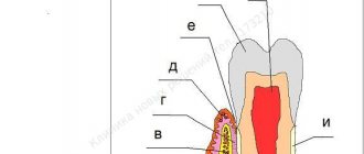 periodontal treatment