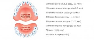 Teething pattern